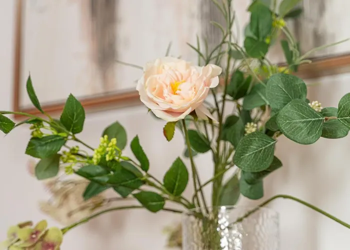 Cozy 3 Bedroom Flat Center アパート *